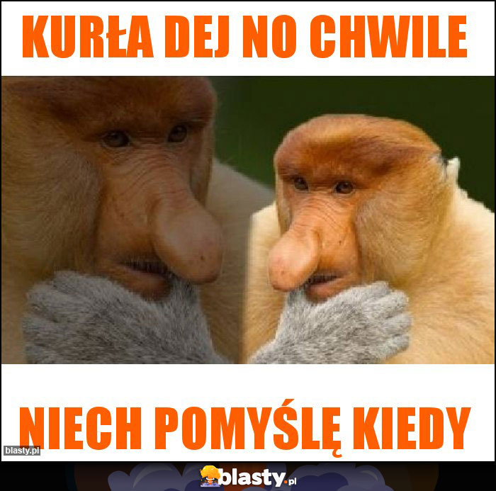 Kurła dej no chwile