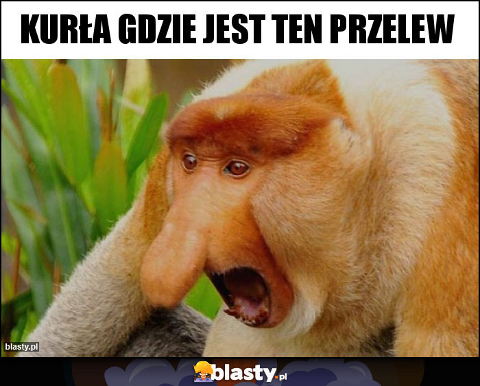 Kurła gdzie jest ten przelew