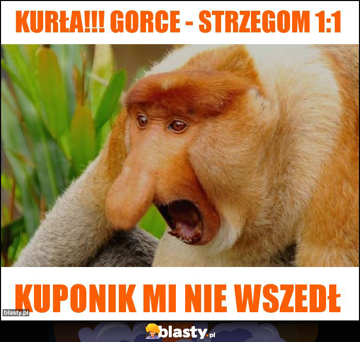 Kurła!!! Gorce - Strzegom 1:1