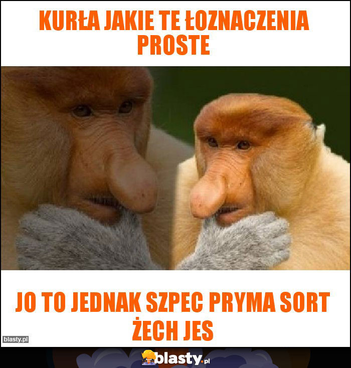 Kurła jakie te łoznaczenia proste