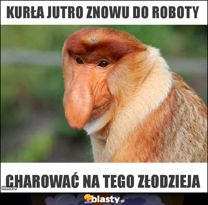 Kurła jutro znowu do roboty