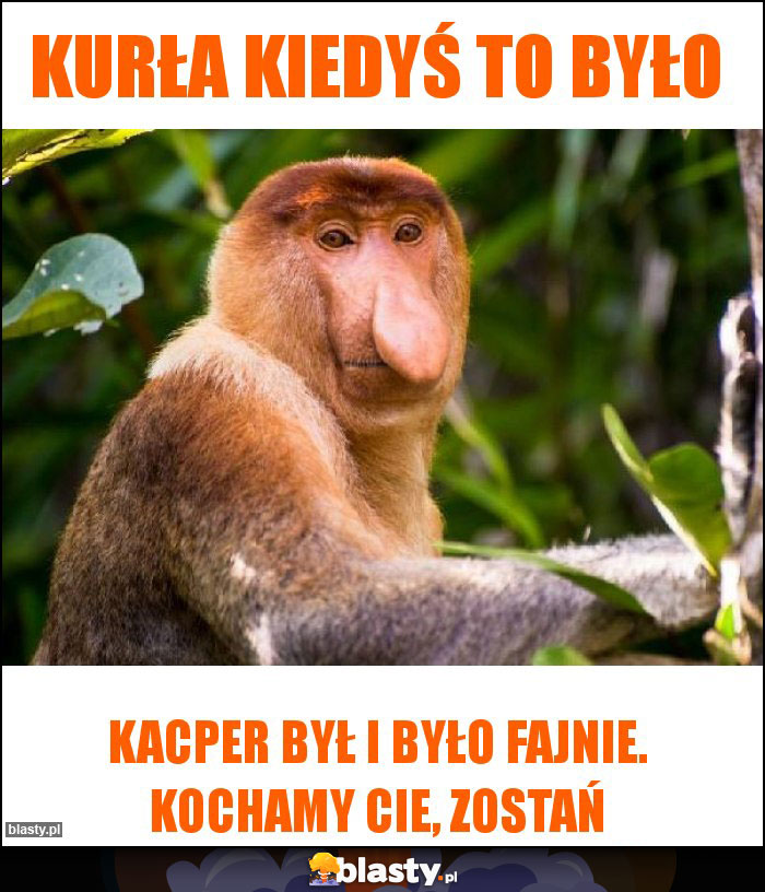 Kurła kiedyś to było