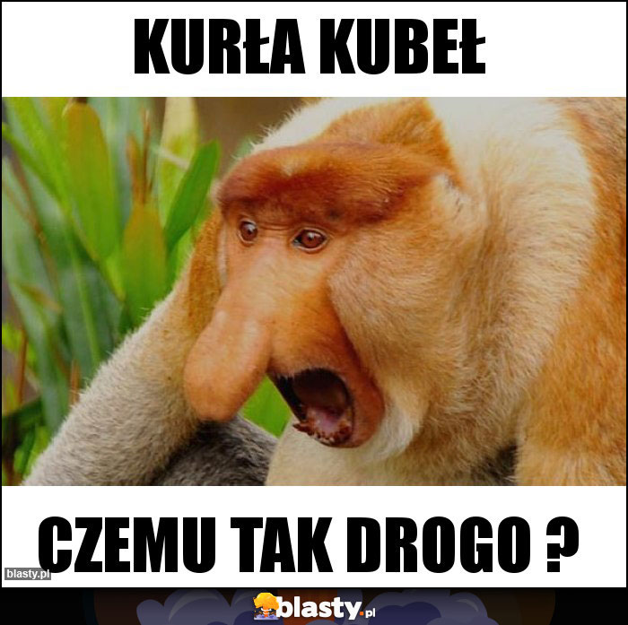 Kurła Kubeł