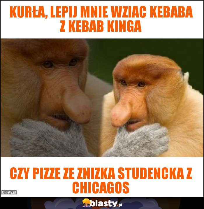 KURŁA, LEPIJ MNIE WZIAC KEBABA Z KEBAB KINGA