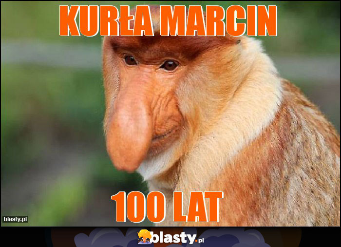 Kurła Marcin