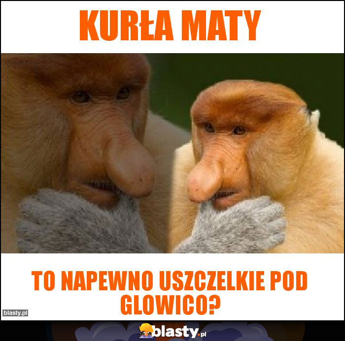 Kurła Maty