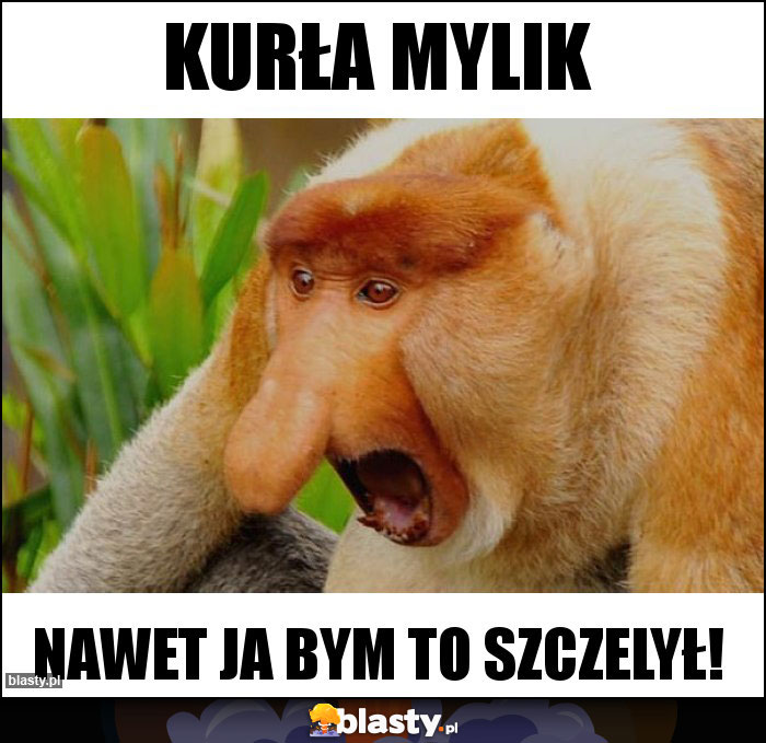 Kurła mylik