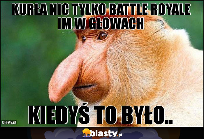 kurła nic tylko battle royale im w głowach