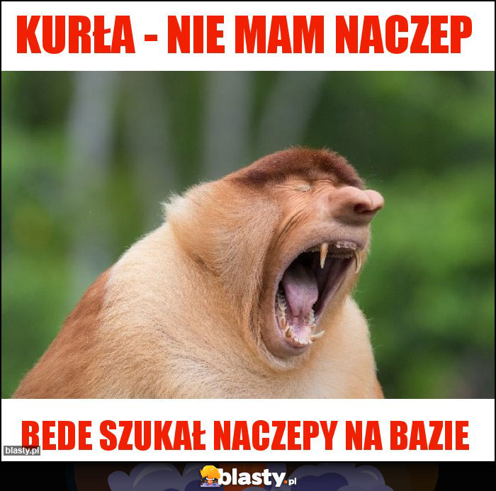 KURŁA - NIE MAM NACZEP