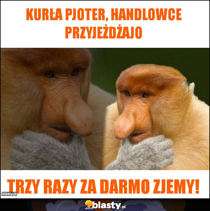 Kurła Pjoter, handlowce przyjeżdżajo