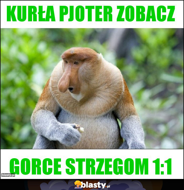 KURŁA pjoter zobacz