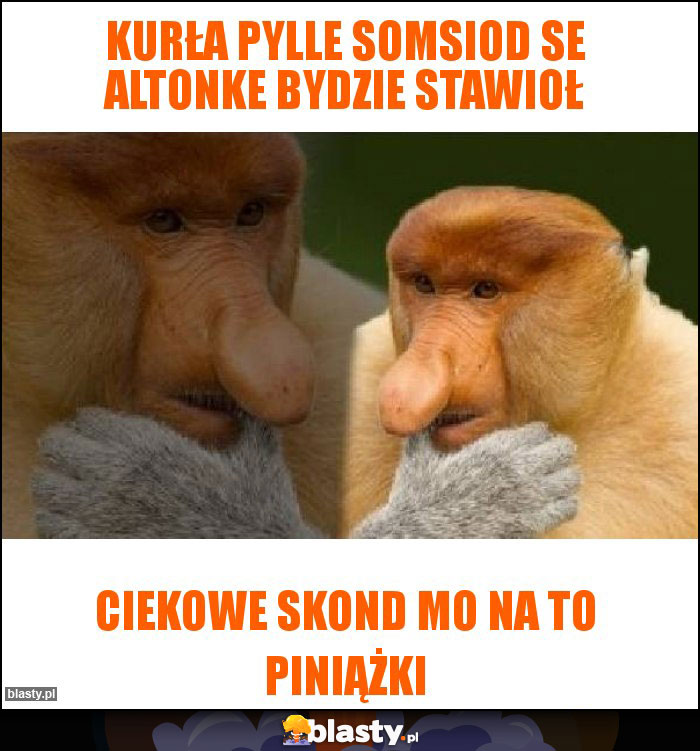 Kurła pylle somsiod se altonke bydzie stawioł