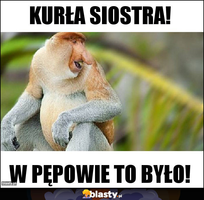 Kurła siostra!