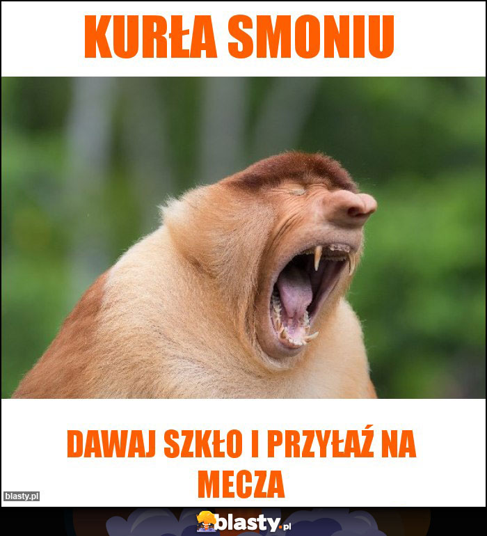 Kurła Smoniu