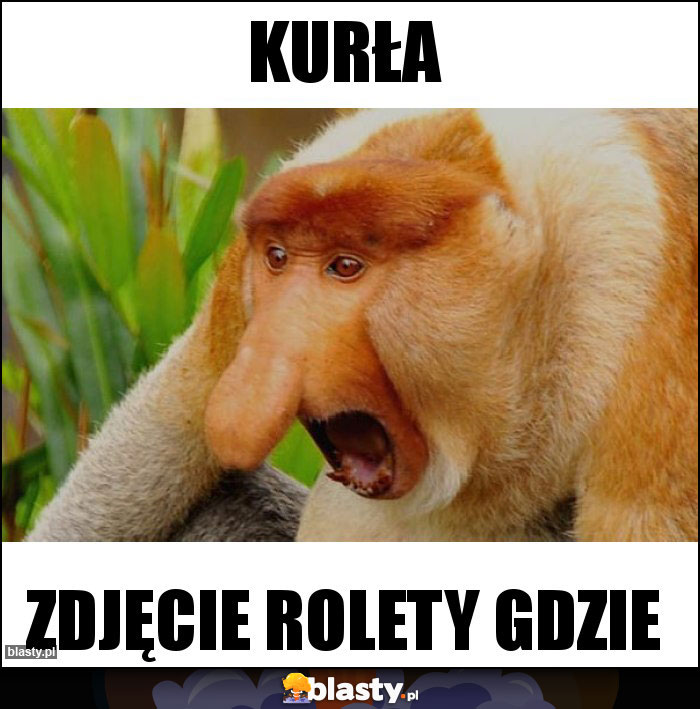 Kurła