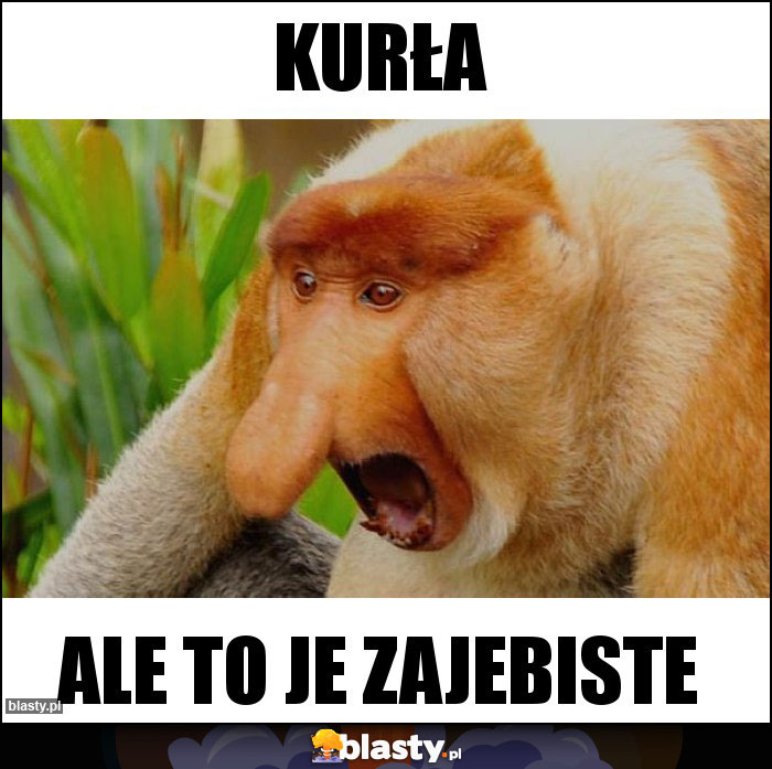 KURŁA