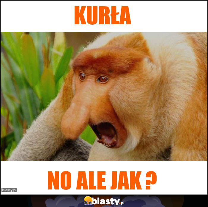 Kurła