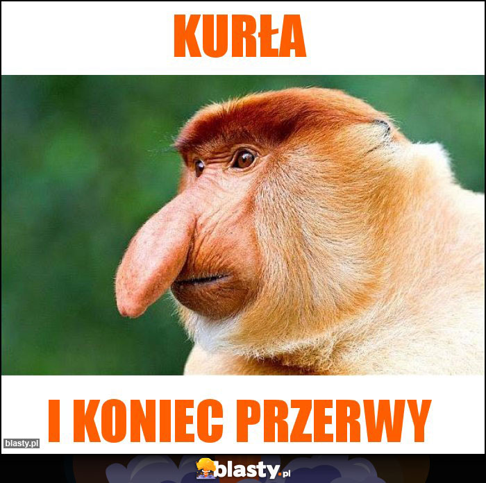 Kurła