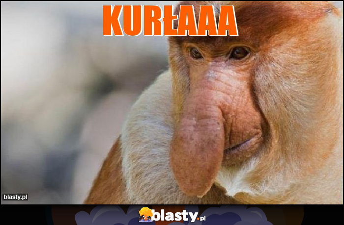 KURŁAAA