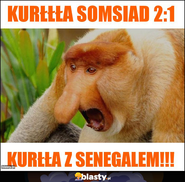 Kurłłła somsiad 2:1