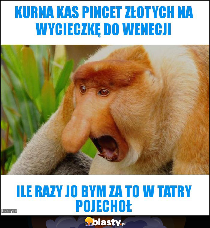 Kurna kas pincet złotych na wycieczkę do Wenecji