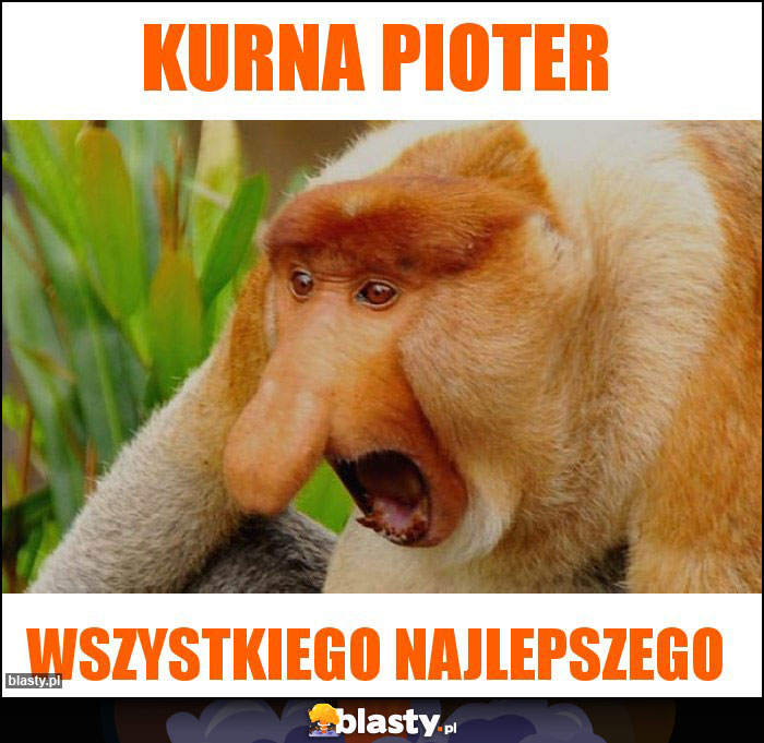 Kurna pioter