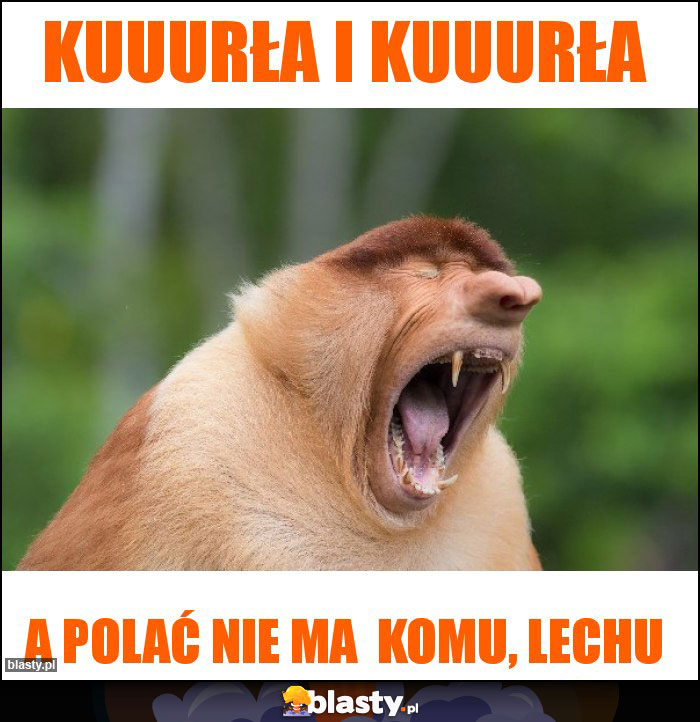 KUUURŁA I KUUURŁA