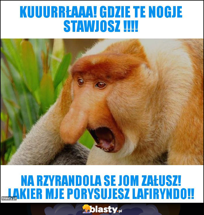 KUUURRŁAAA! GDZIE TE NOGJE stawjosz !!!!