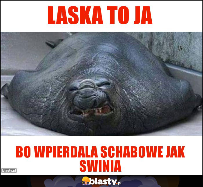 Laska to ja