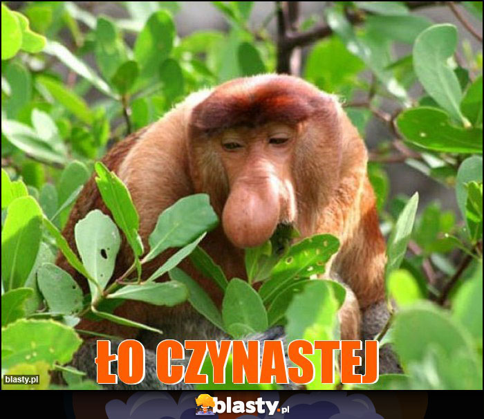 Ło Czynastej