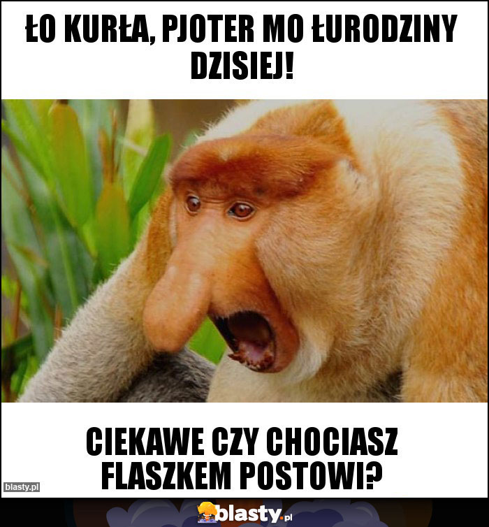 Ło KURŁA, Pjoter mo łurodziny dzisiej!