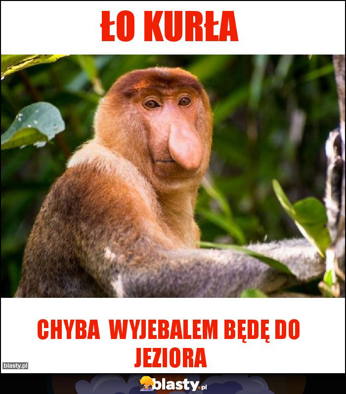 Ło KURŁA