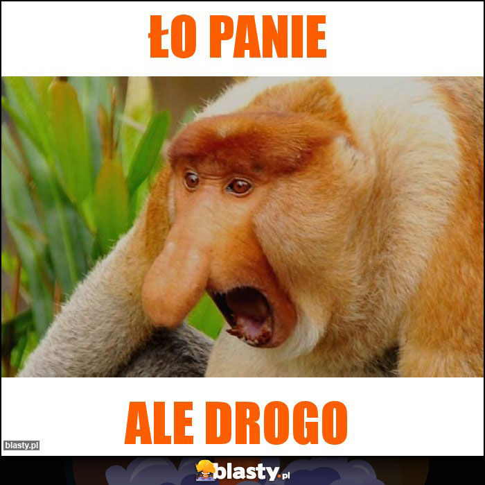 ło panie