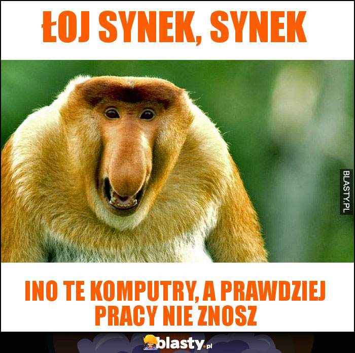 Łoj synek, synek