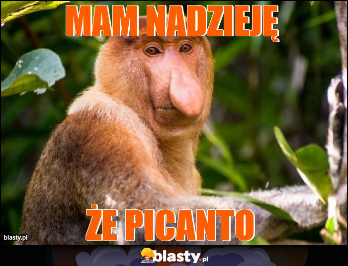 Mam nadzieję