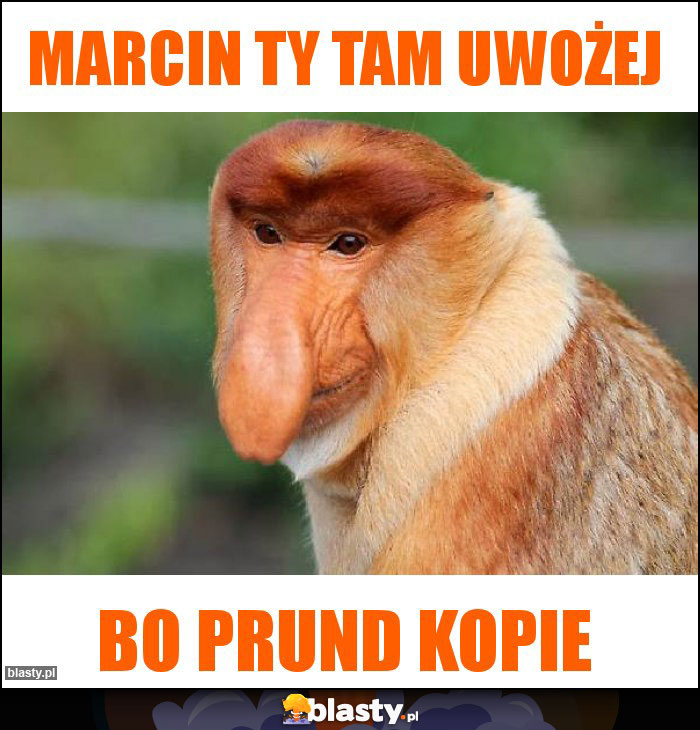 Marcin ty tam uwożej