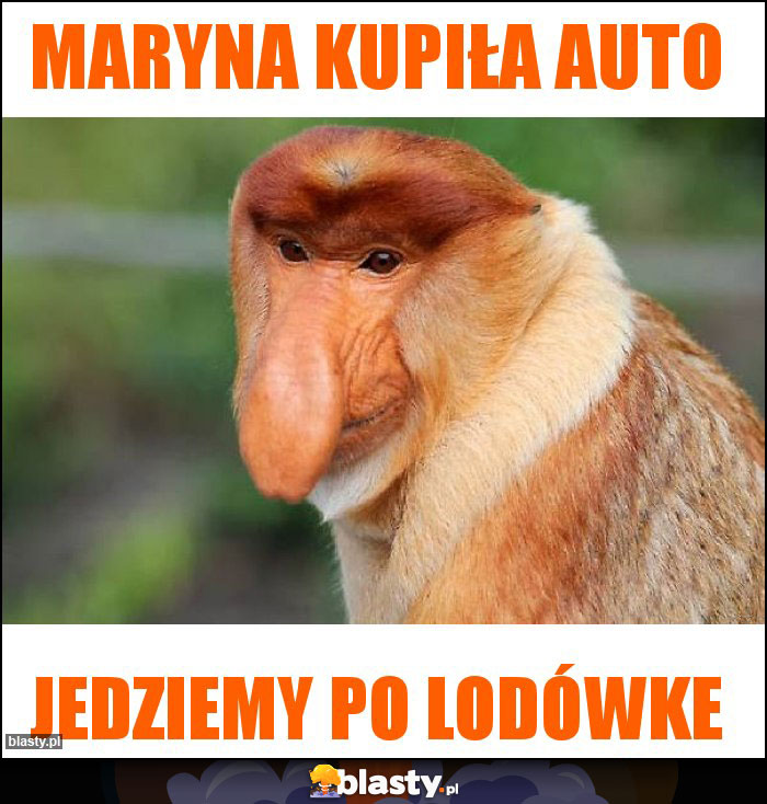 Maryna kupiła auto