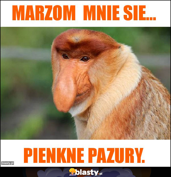 Marzom  mnie sie...