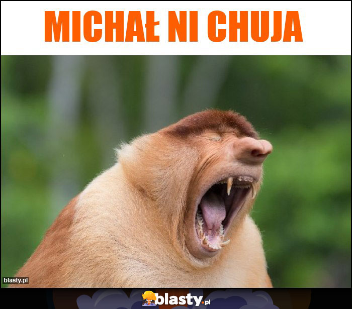 Michał ni chuja