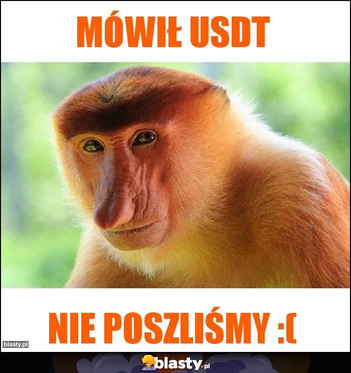 Mówił usdt