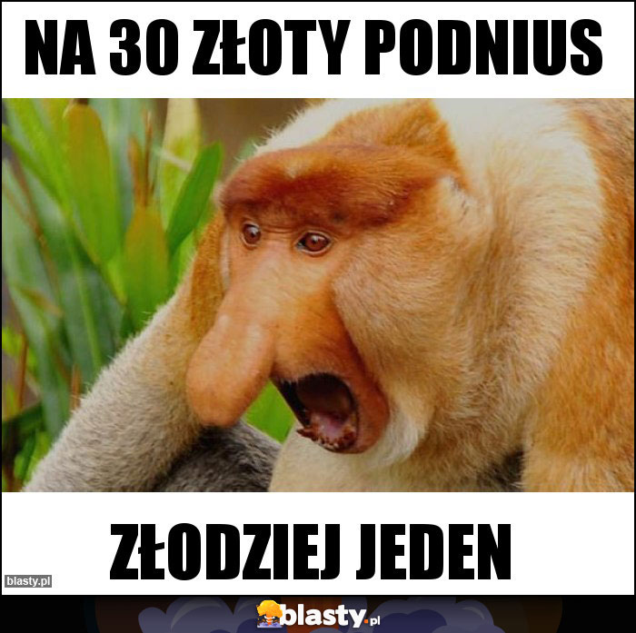 NA 30 ZŁOTY PODNIUS