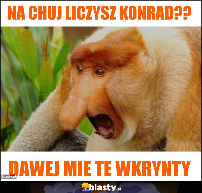 Na chuj liczysz Konrad??