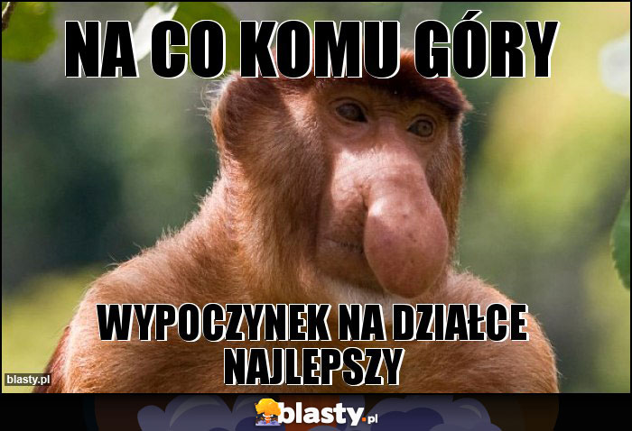 na co komu góry