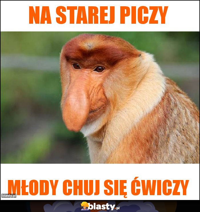 Na starej piczy