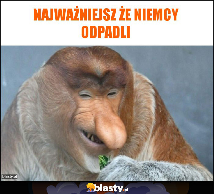 Najważniejsz że niemcy odpadli