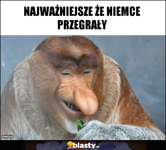 najważniejsze że niemce przegrały