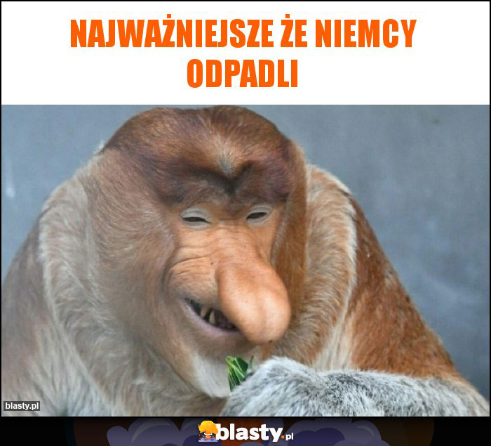 Najważniejsze że niemcy odpadli