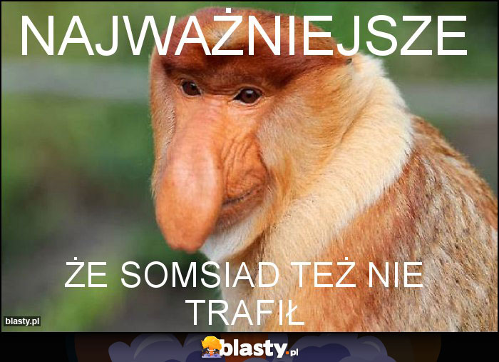 najważniejsze