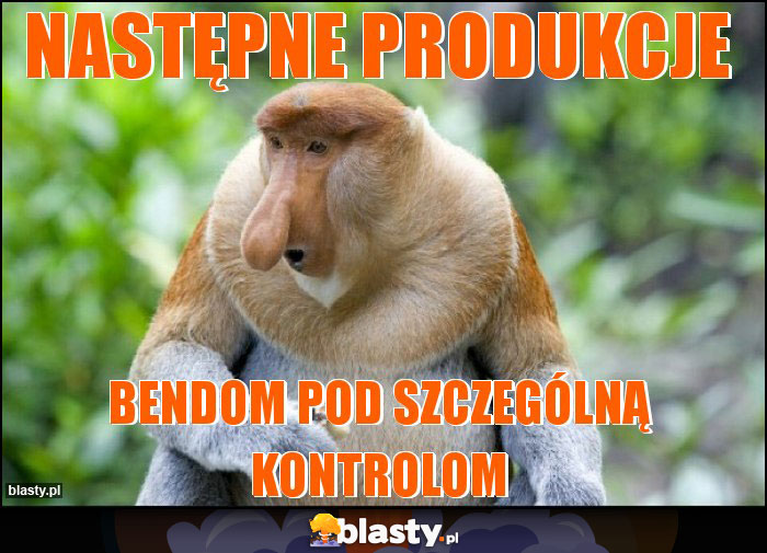 Następne produkcje