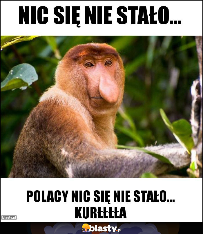 Nic się nie stało...